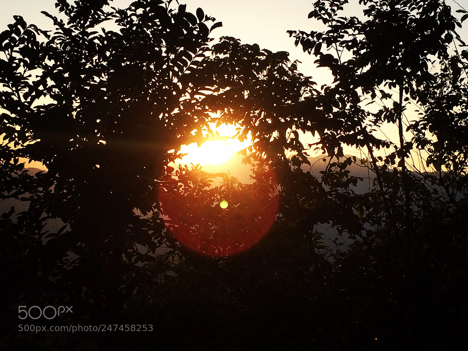 Apple iPhone 5s sample photo. Sunset? #eveningphotography #photography #photo ... photography