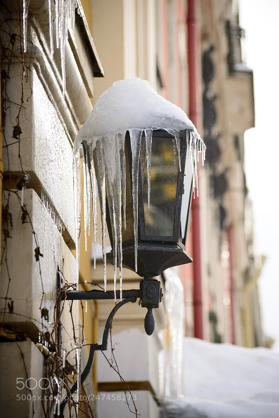 Nikon D610 sample photo. Frozen lantern photography