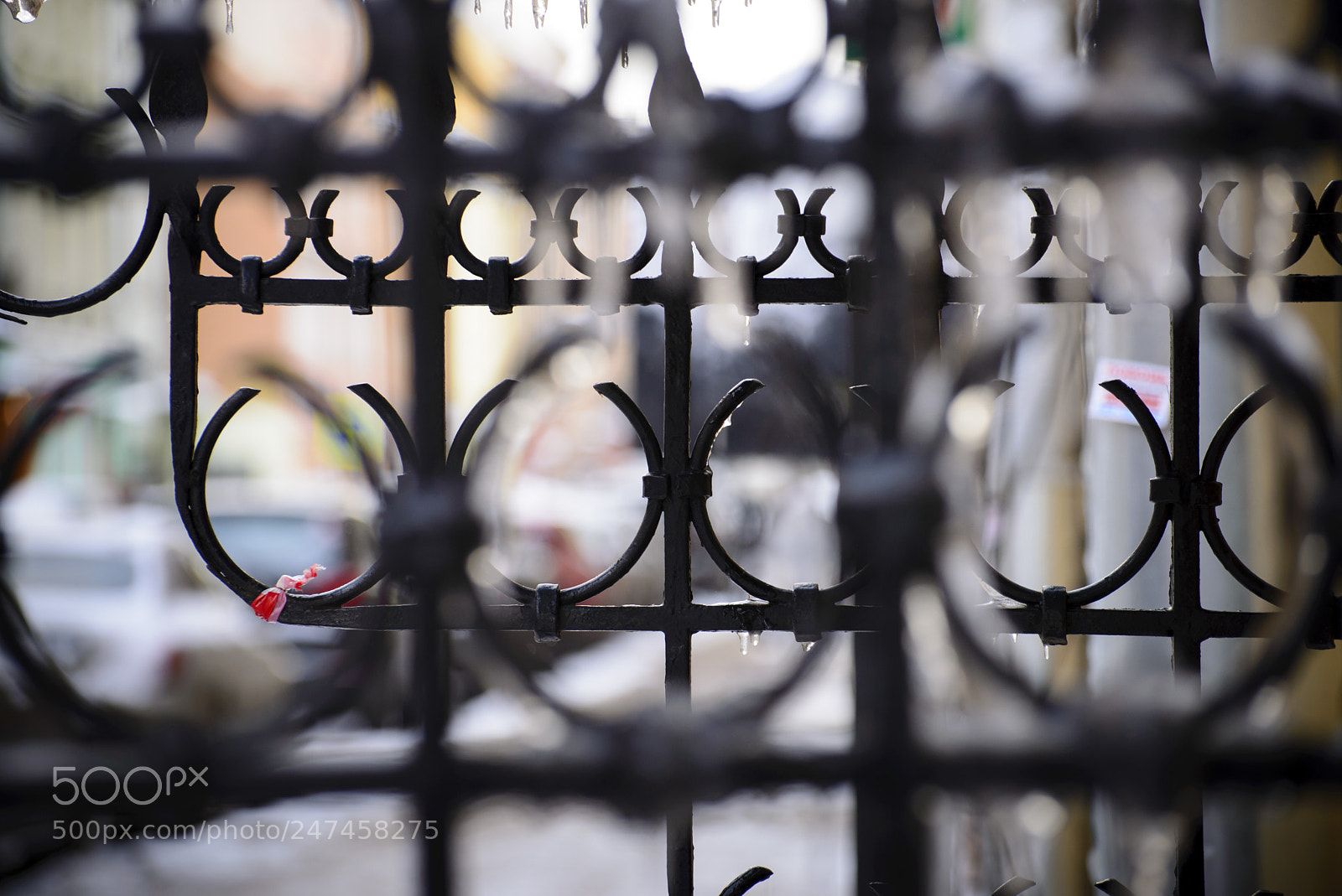 Nikon D610 sample photo. Iron fence photography
