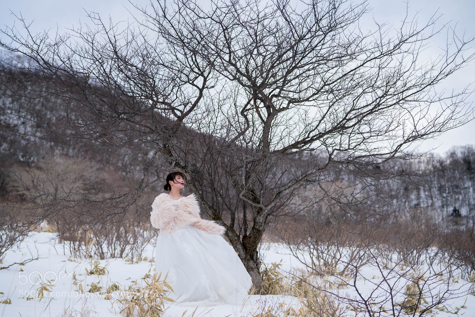 Sony a7R III sample photo. 20180226-1 photography