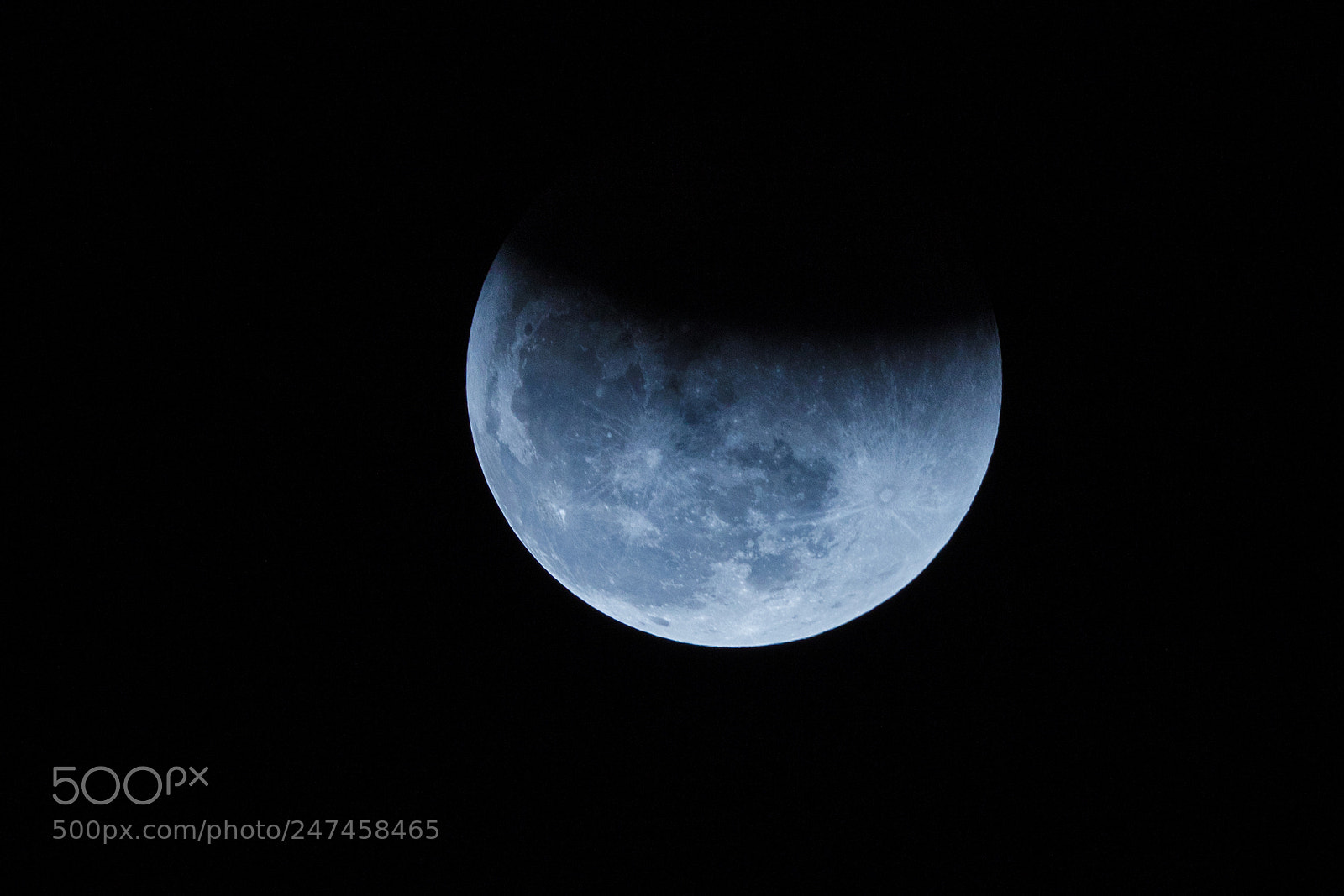 Canon EOS 5DS R sample photo. Eos ds r photography
