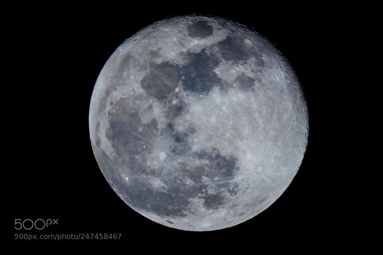Canon EOS 5DS R sample photo. Eos ds r photography