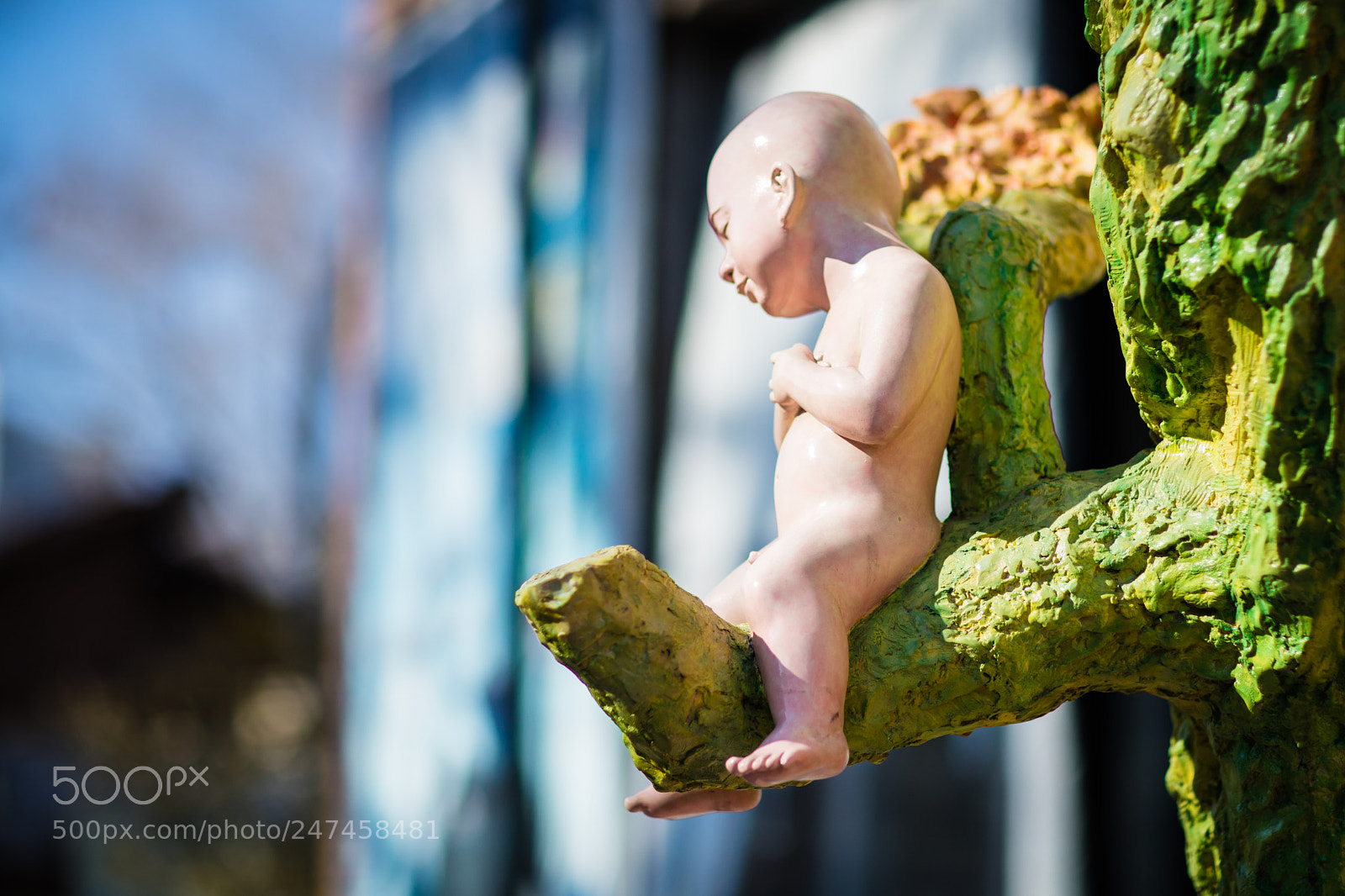 Canon EOS 5DS R sample photo. Eos ds r photography