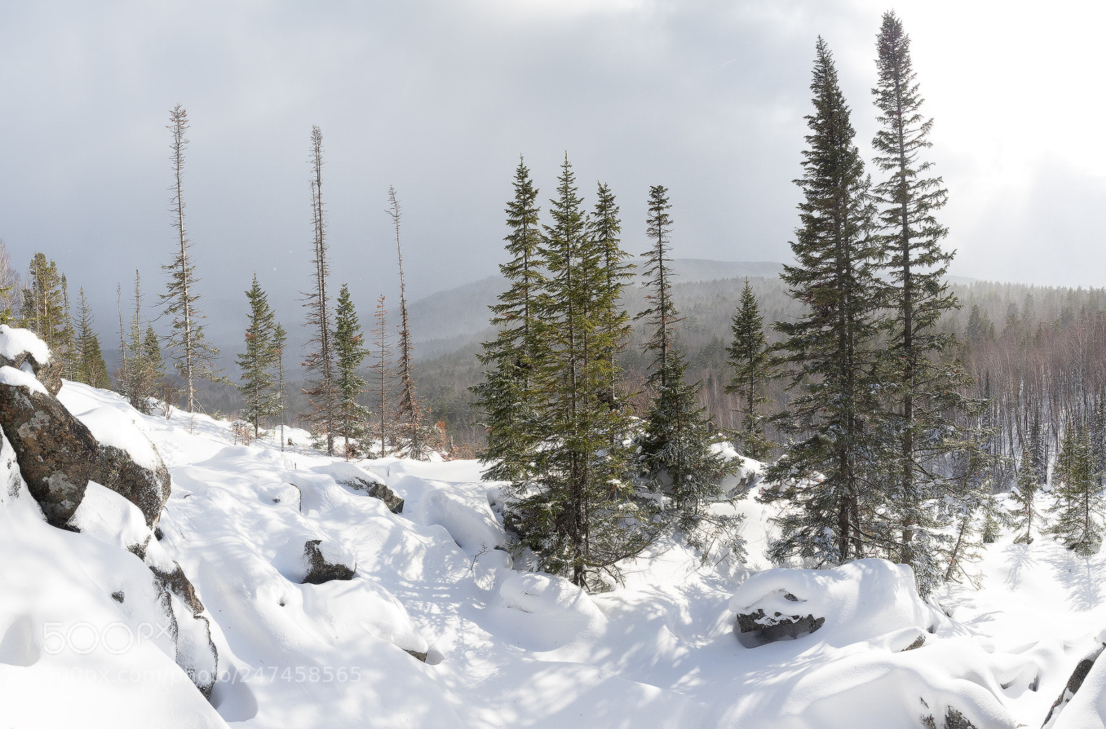 Olympus OM-D E-M1 sample photo. ...a blizzard passed... photography