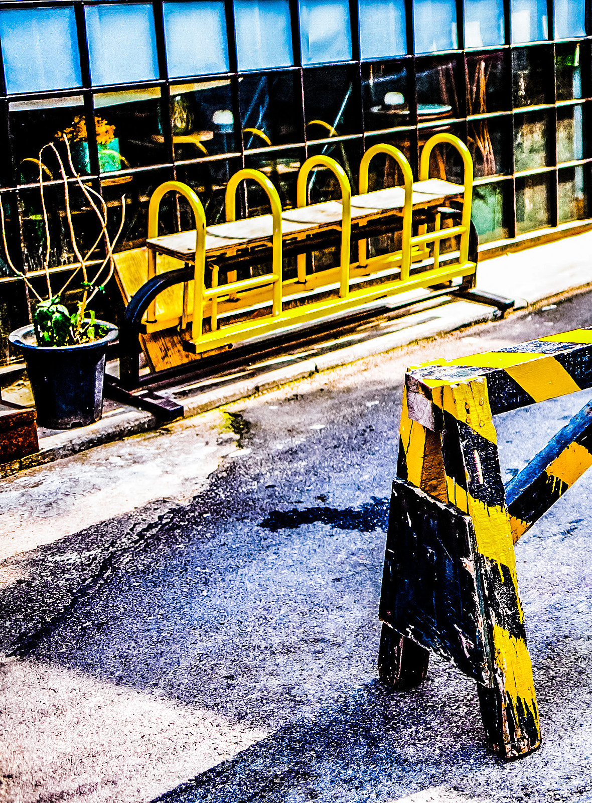 Canon EOS 5D sample photo. Yellow... photography