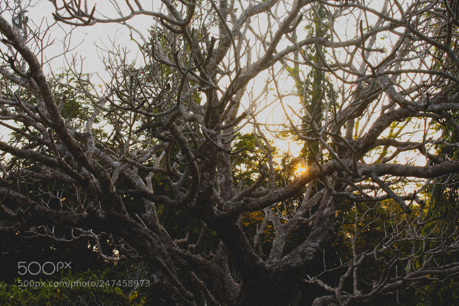 Canon EOS 700D (EOS Rebel T5i / EOS Kiss X7i) sample photo. Sunset photography