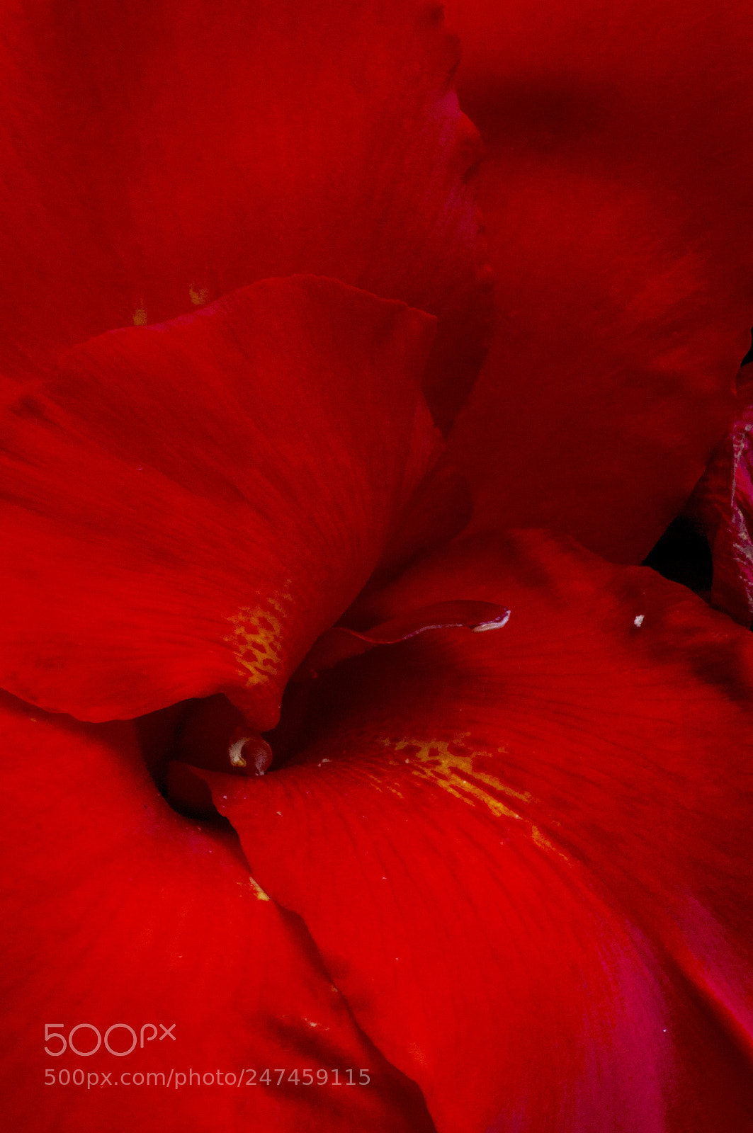 Nikon D90 sample photo. Red scene photography