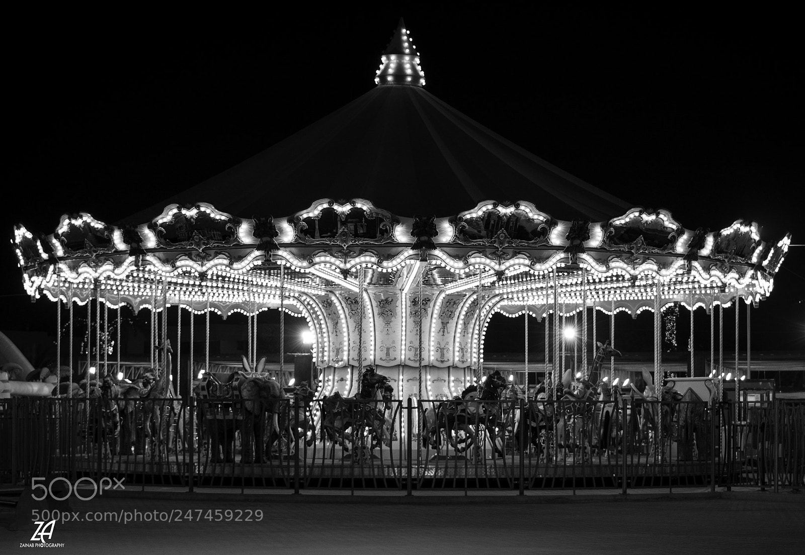 Nikon D7100 sample photo. Carousel photography