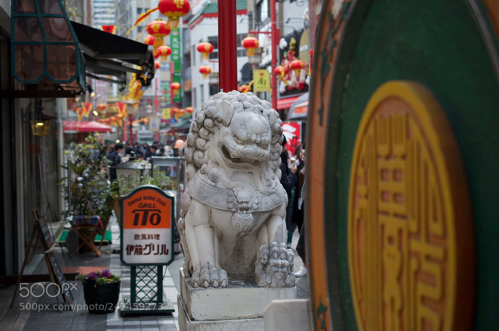 Nikon D90 sample photo. China towns dog in photography