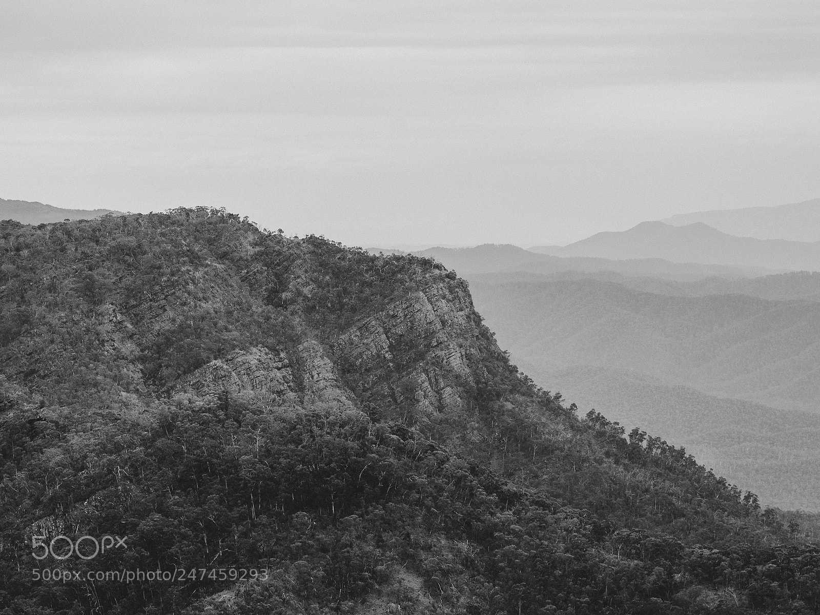 Nikon D7200 sample photo. Dimmick lookout on the photography