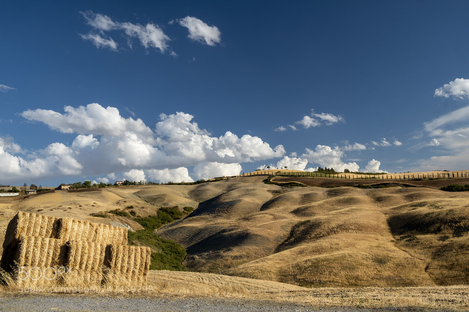 Fujifilm X-T2 sample photo. Summer landscape near asciano photography