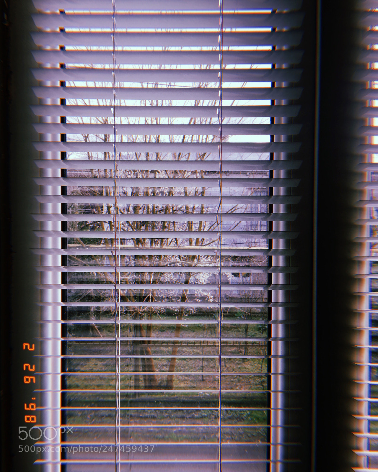 Apple iPhone sample photo. My window photography