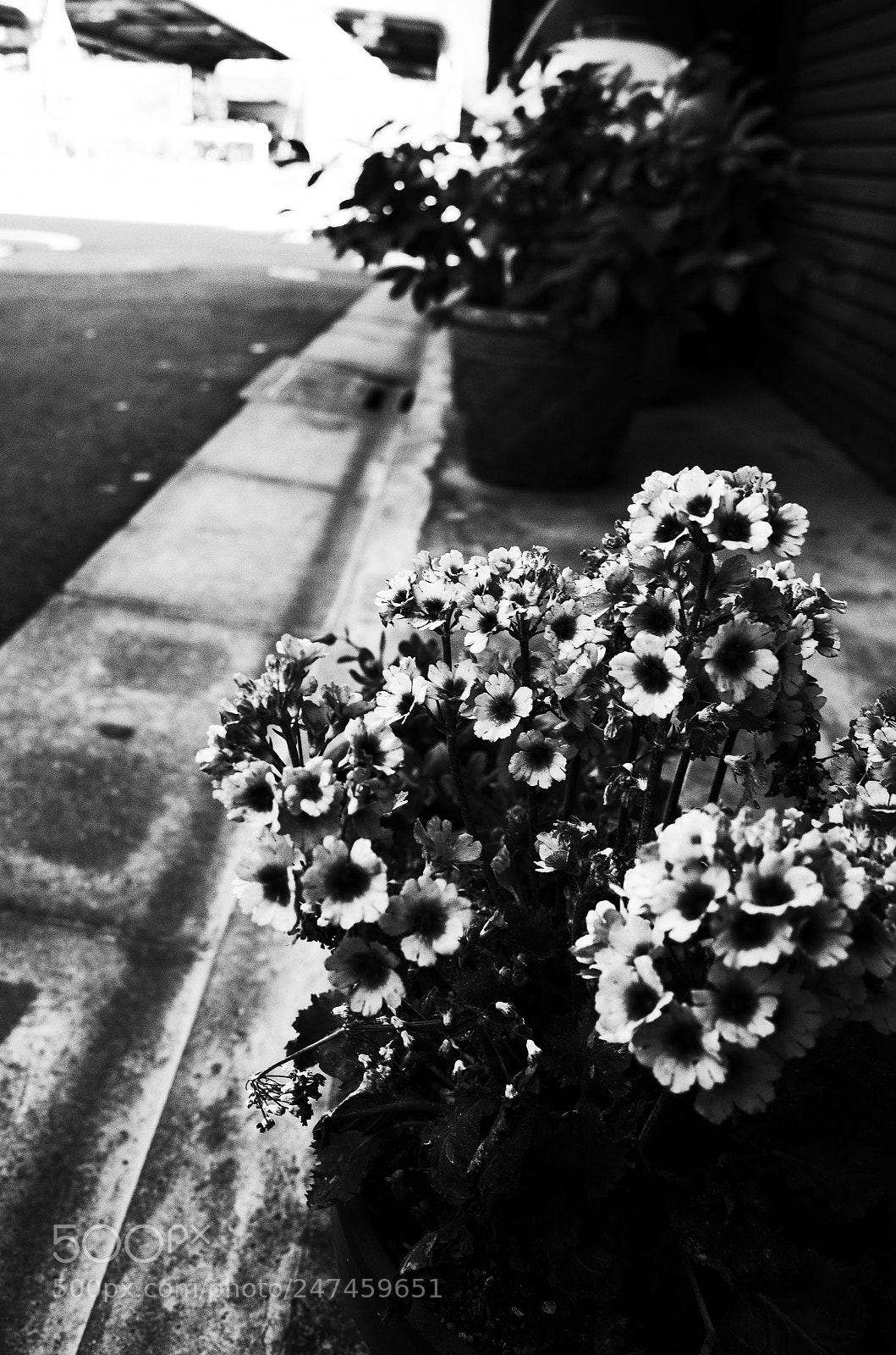 Ricoh GR II sample photo. Street monochrome photography