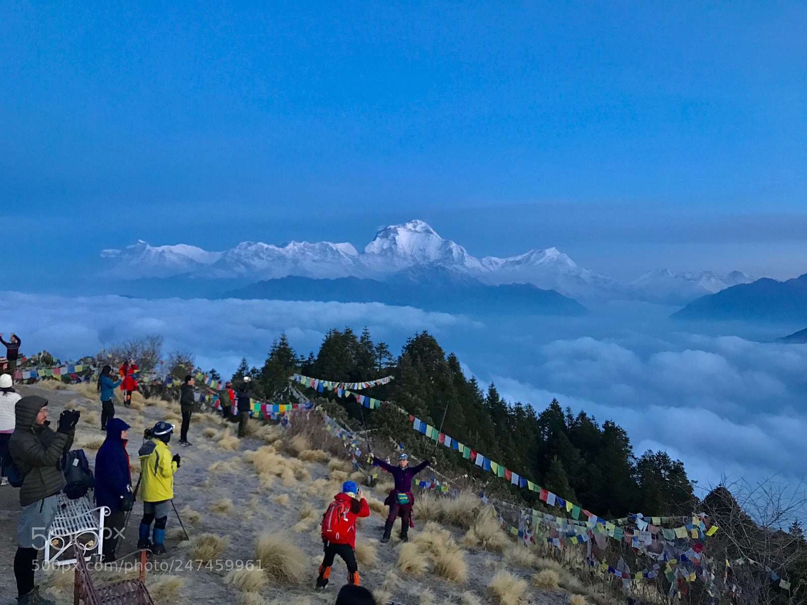Apple iPhone 7 Plus sample photo. Abc trekking in nepal photography