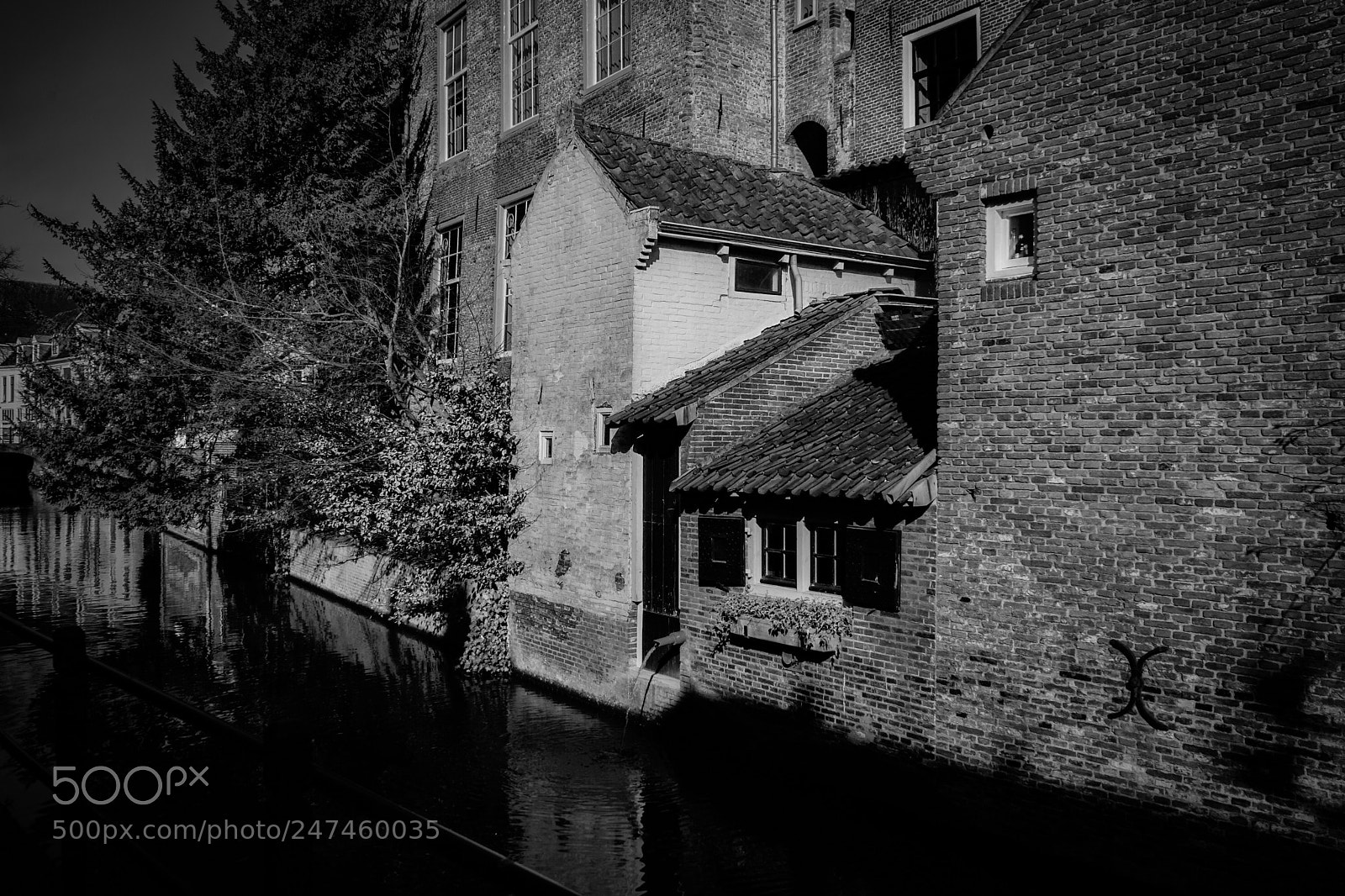 Sony a7 sample photo. #netherlands #amersfoort photography
