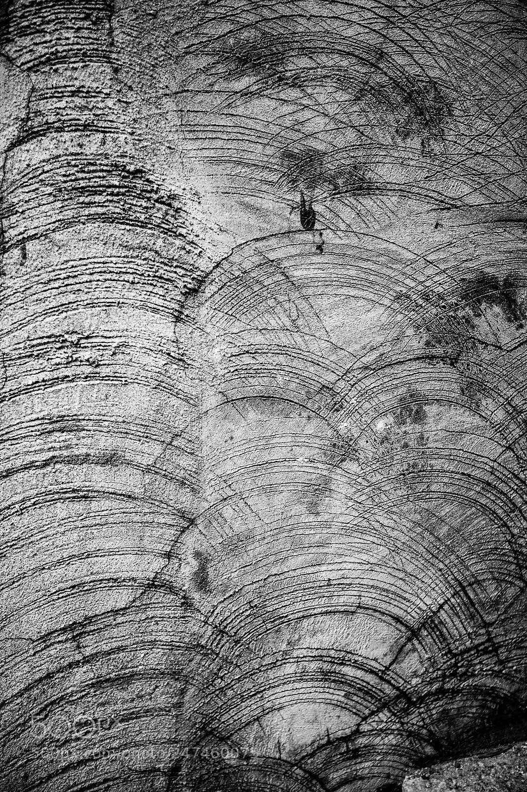 Canon EOS 5D sample photo. Wall... photography