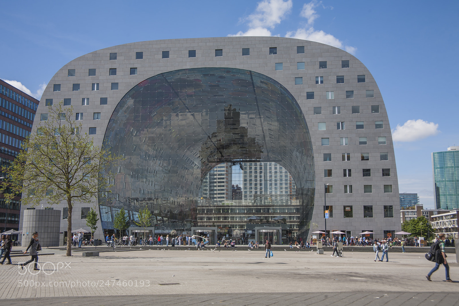Canon EOS 5D sample photo. Markthal, rotterdam photography