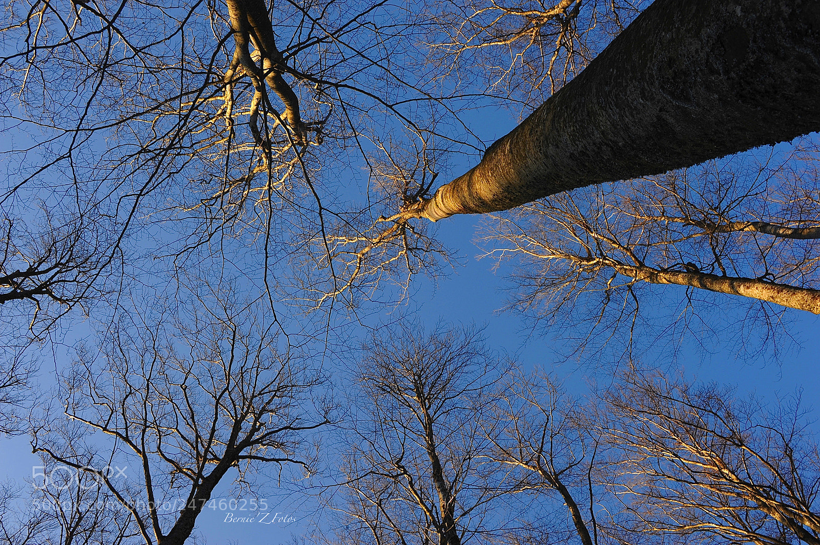 Nikon D3 sample photo. To the end of photography