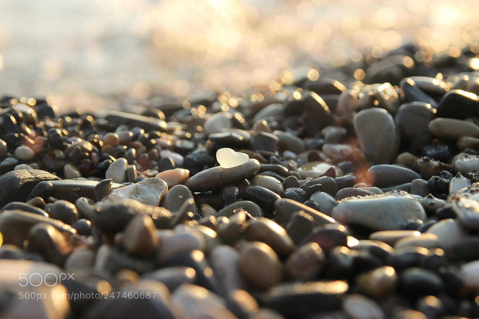 Canon EOS 600D (Rebel EOS T3i / EOS Kiss X5) sample photo. Sea stones and sunset photography
