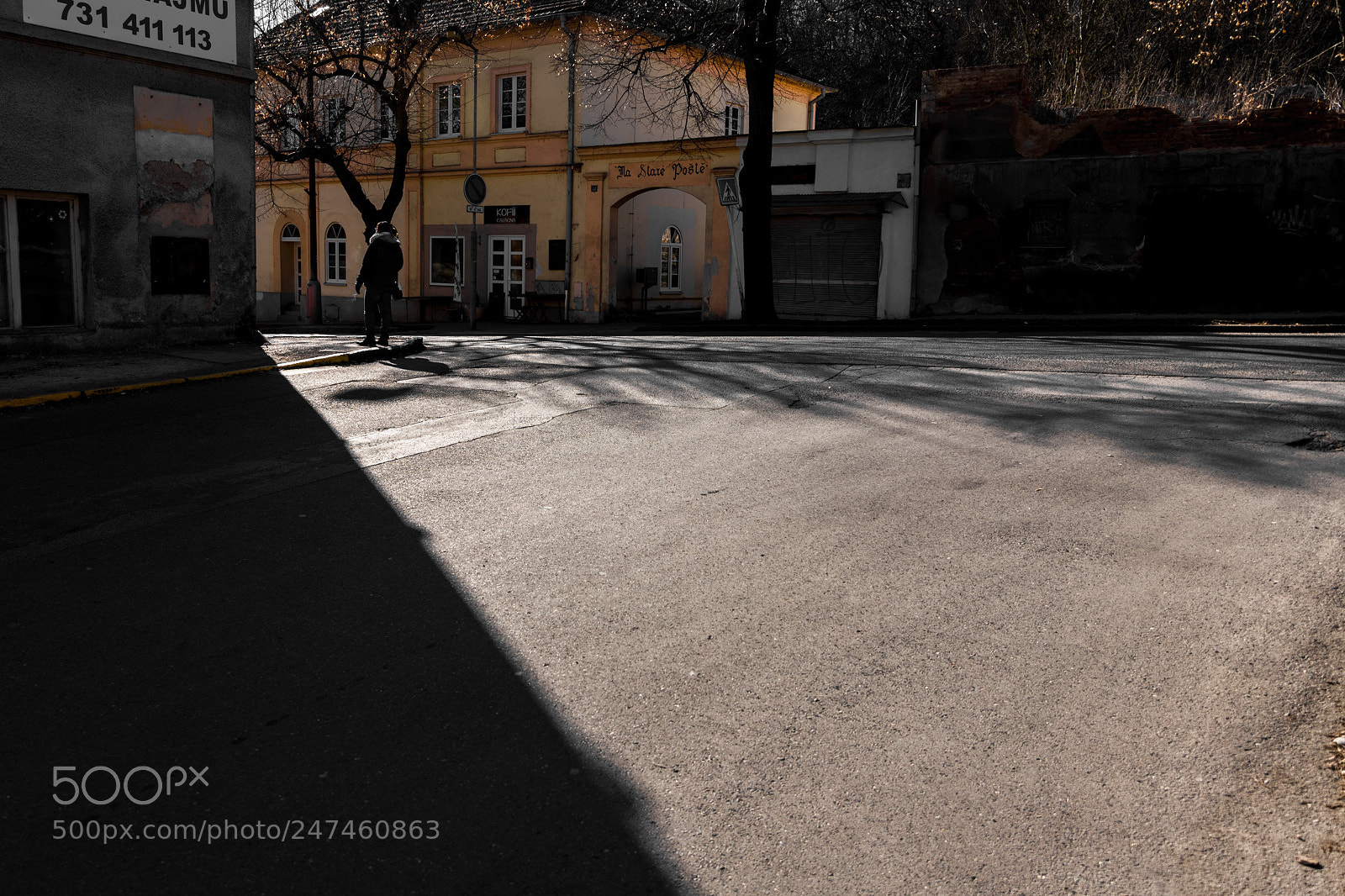 Canon EOS 6D Mark II sample photo. Golden street photography