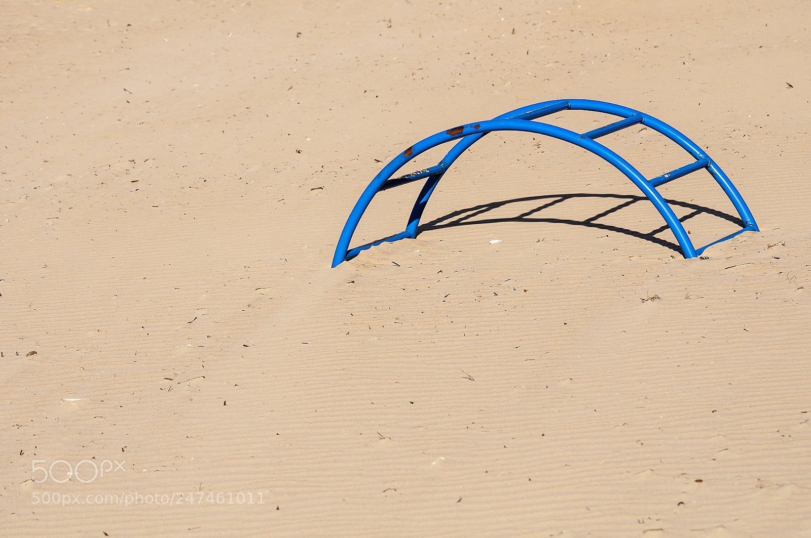 Nikon D300S sample photo. Dsc photography