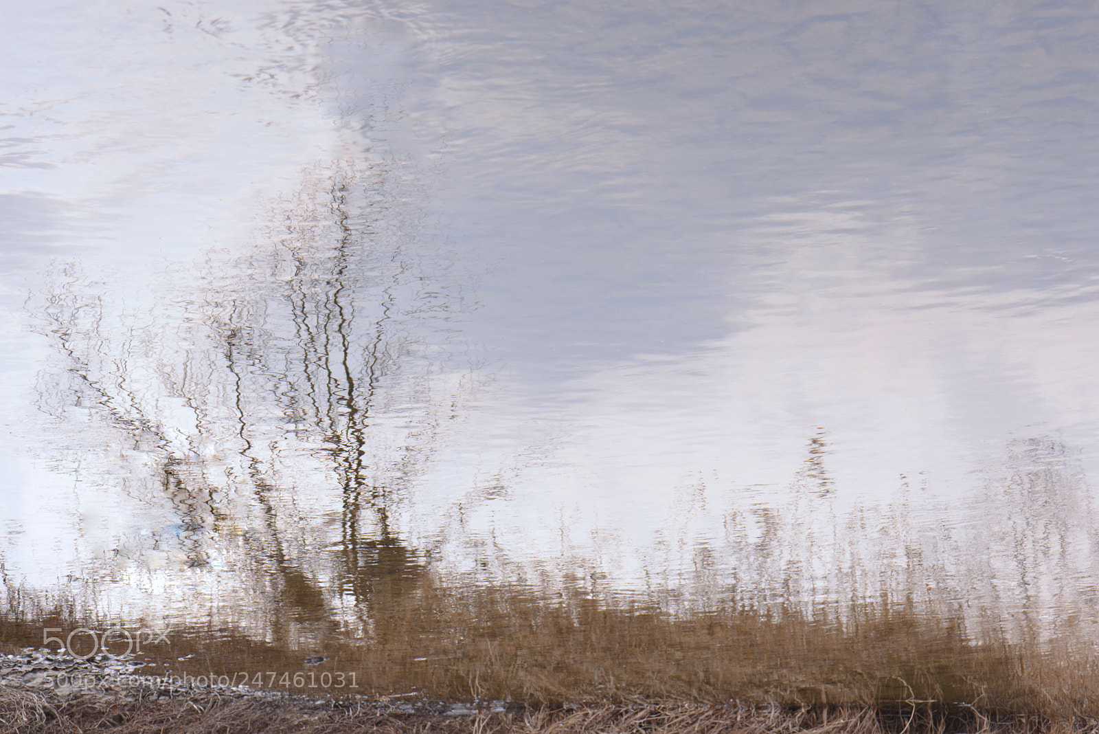 Nikon D610 sample photo. Untitled photography