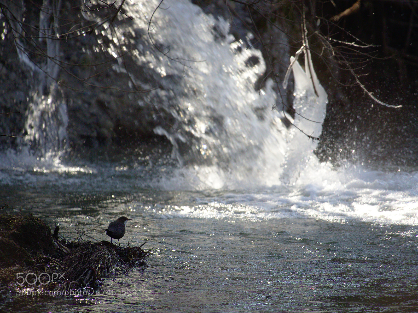 Olympus OM-D E-M10 sample photo. Dipper's ice castle photography