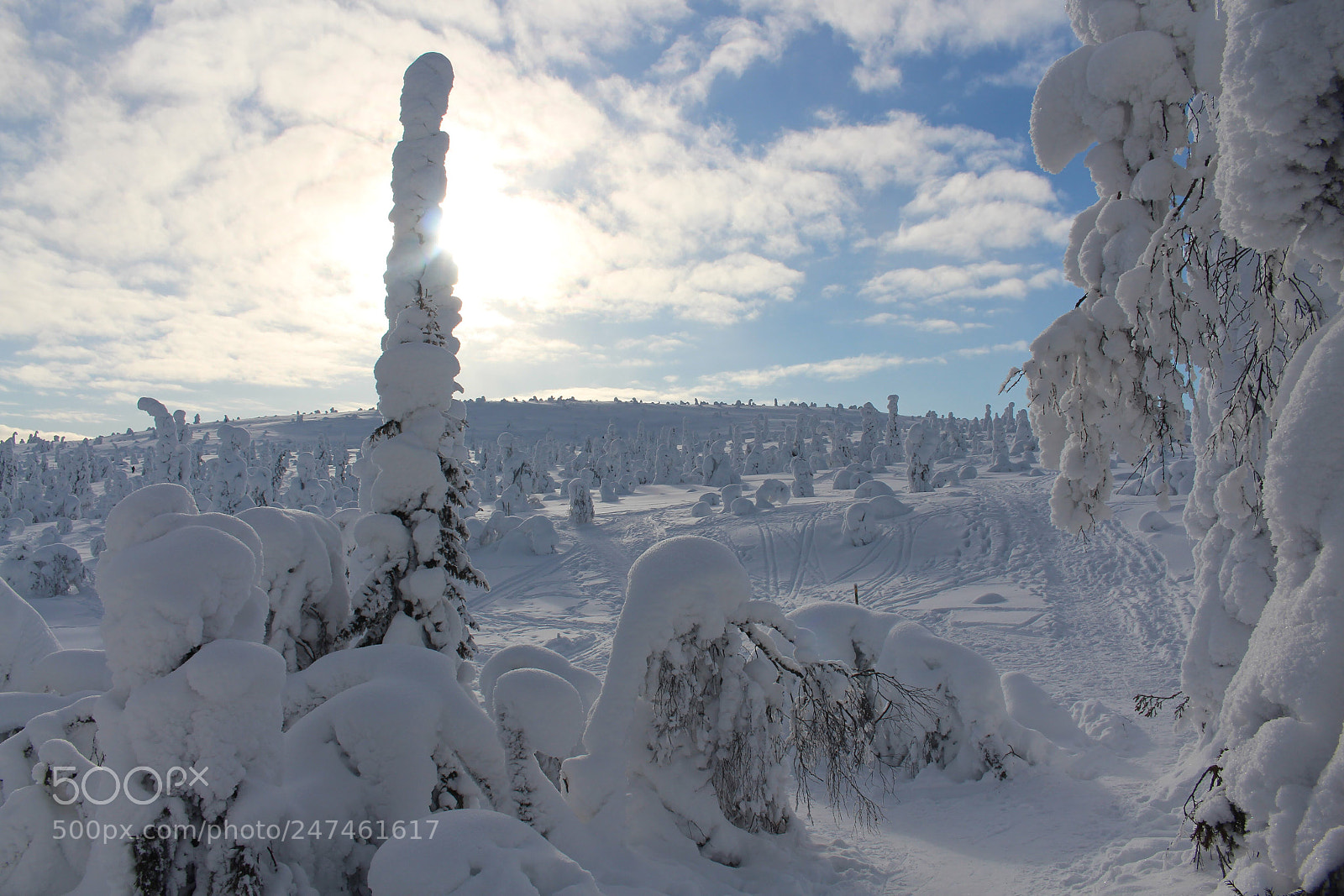 Canon EOS 700D (EOS Rebel T5i / EOS Kiss X7i) sample photo. Winter in finland photography