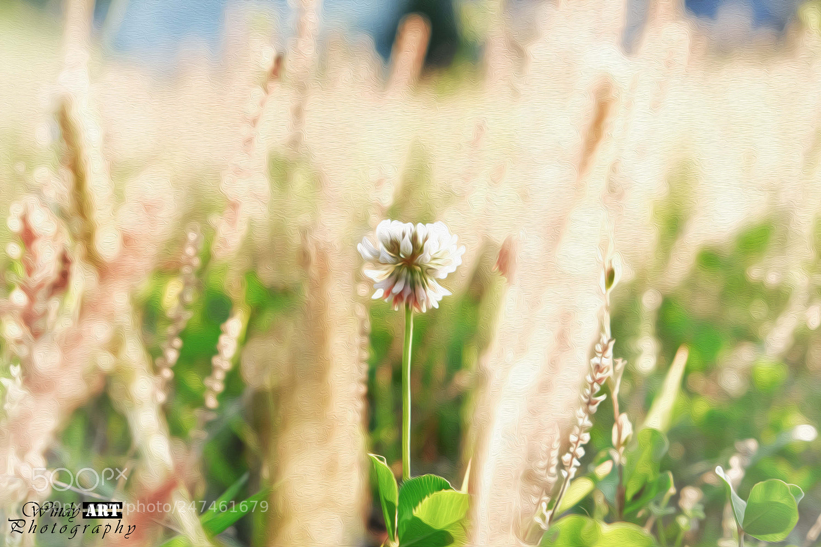 Fujifilm X-T20 sample photo. Weeds photography