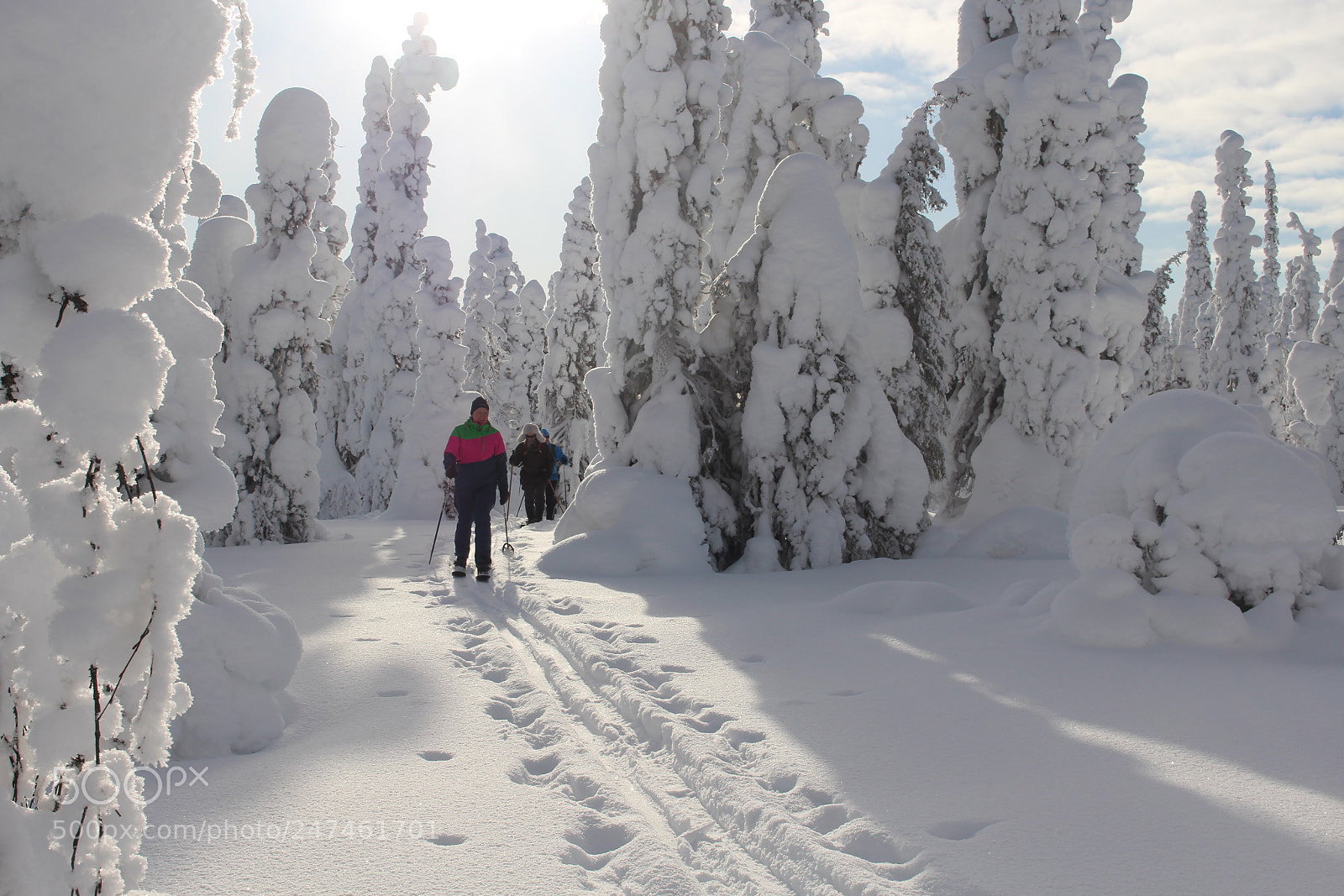 Canon EOS 700D (EOS Rebel T5i / EOS Kiss X7i) sample photo. Xcountry skiing in riisitunturi photography