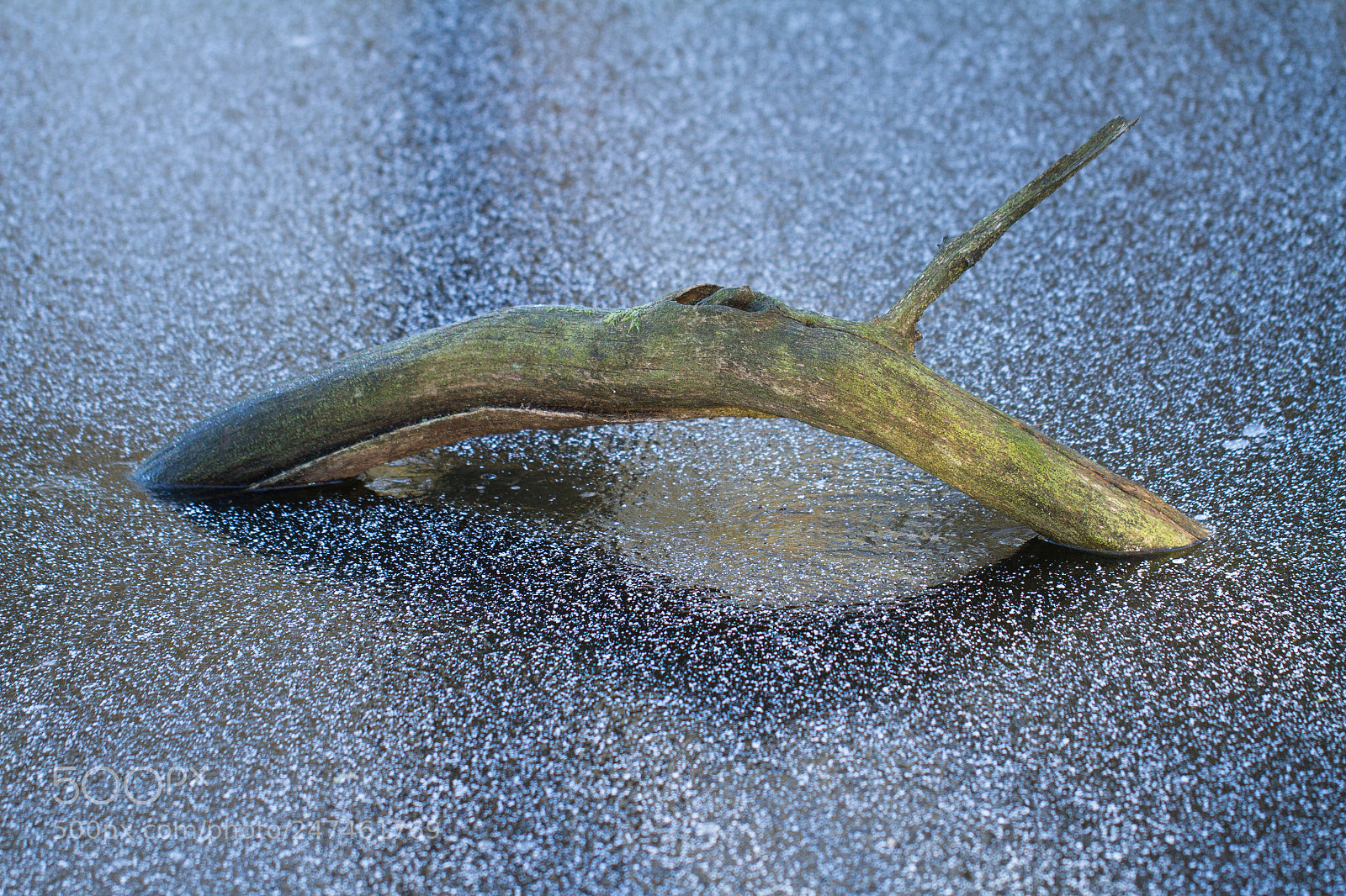 Canon EOS 7D sample photo. Frozen photography