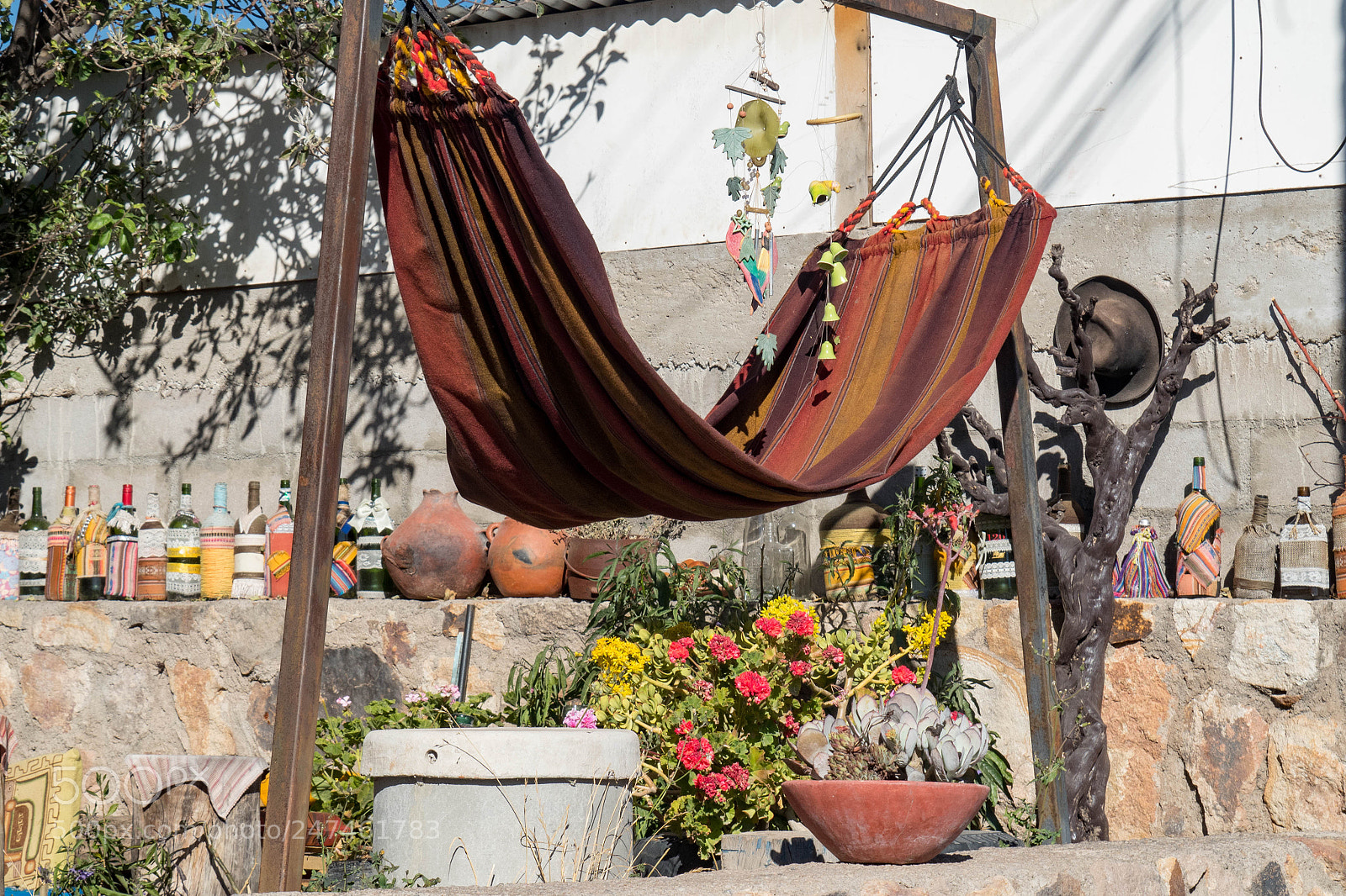 Olympus OM-D E-M5 II sample photo. Desert hammock photography