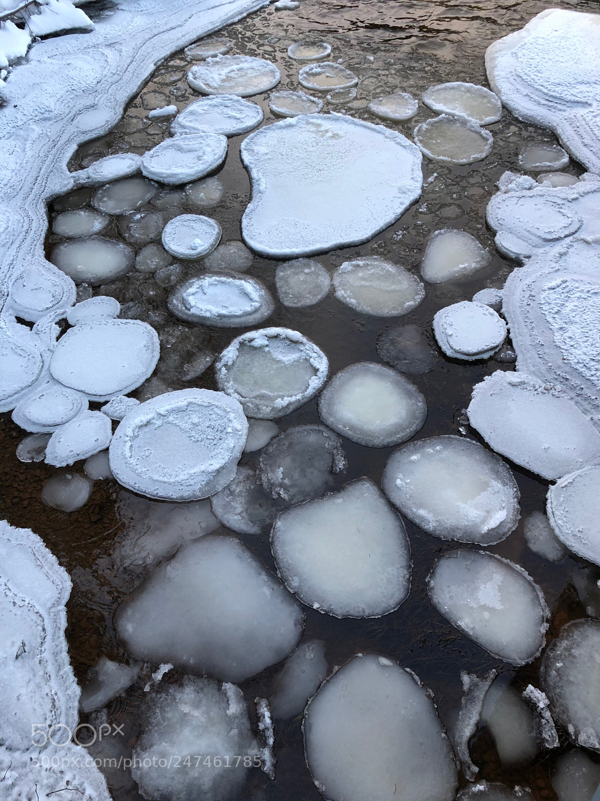 Apple iPhone 8 Plus sample photo. Floes make art photography