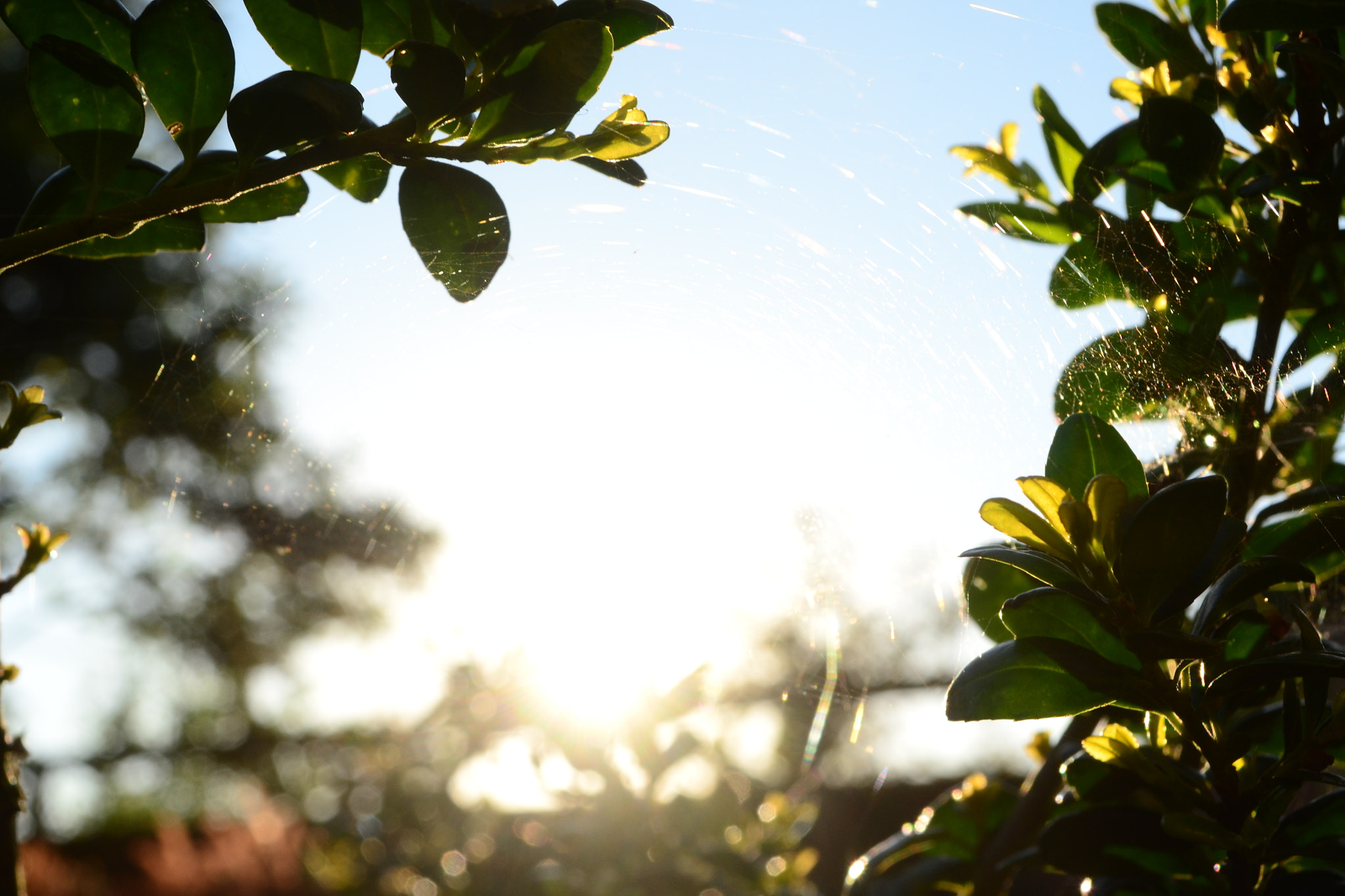 Sigma 18-50mm F3.5-5.6 DC sample photo. Dsc photography