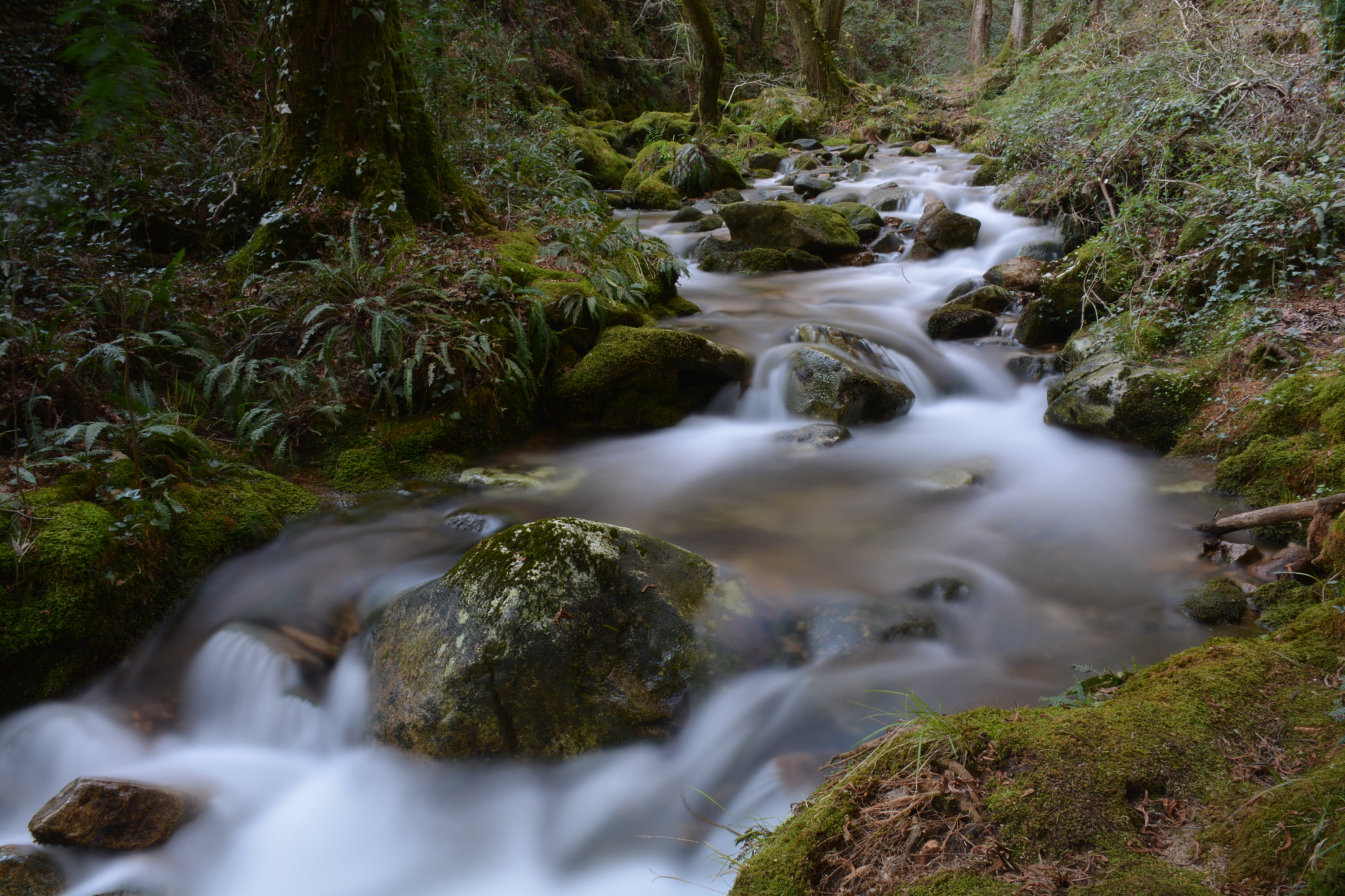 Nikon D5200 sample photo. Ruta da fraga, moaña photography