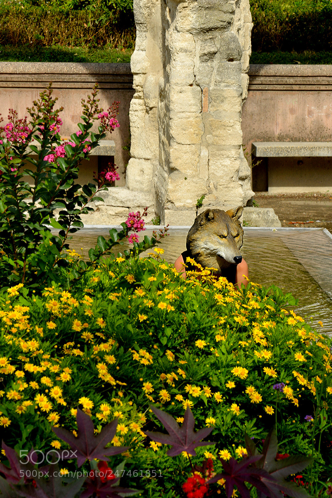 Nikon D800 sample photo. Avignon theater festival photography