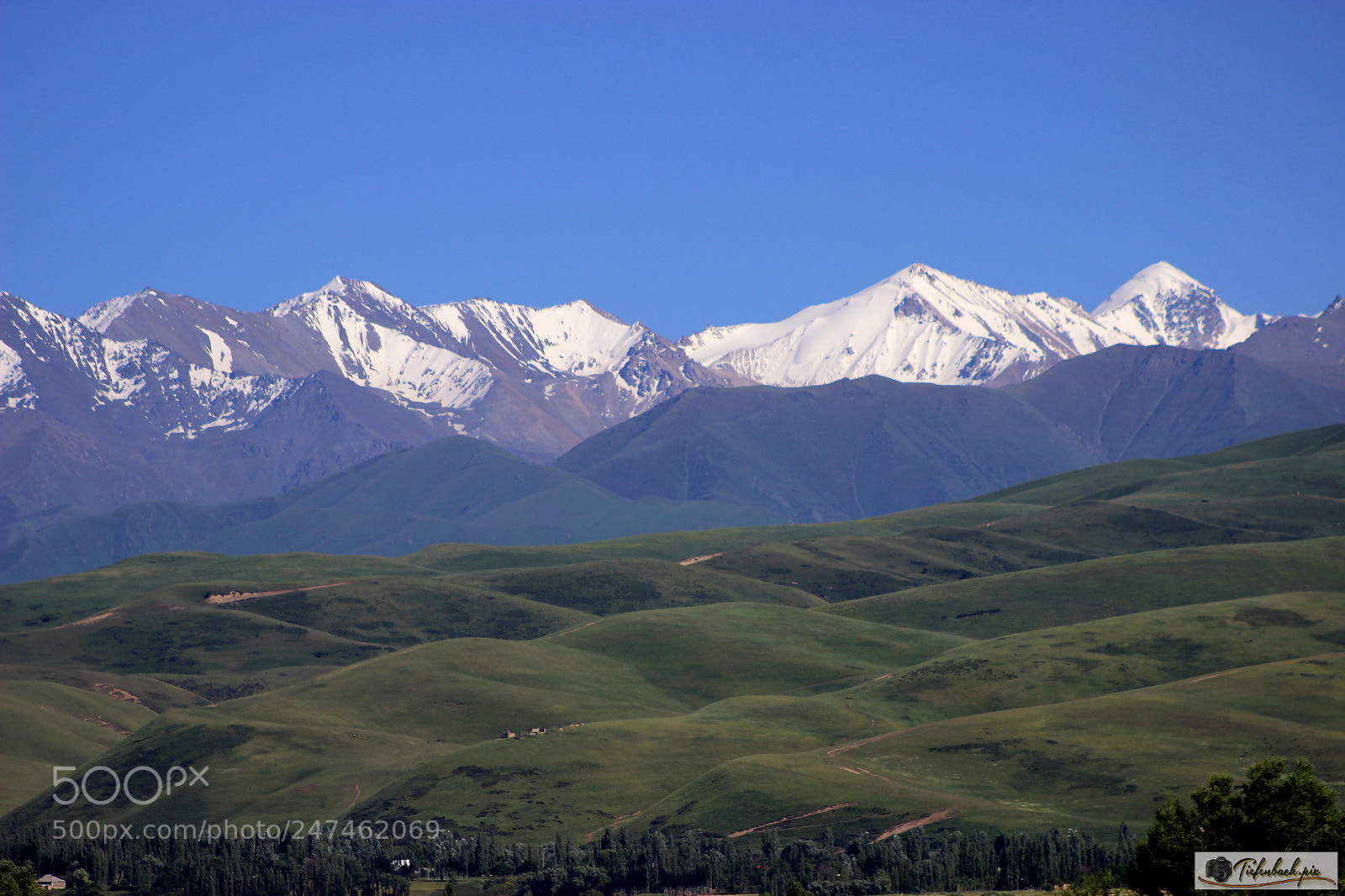 Canon EOS 600D (Rebel EOS T3i / EOS Kiss X5) sample photo. Kyrgyzstan snow mountains photography