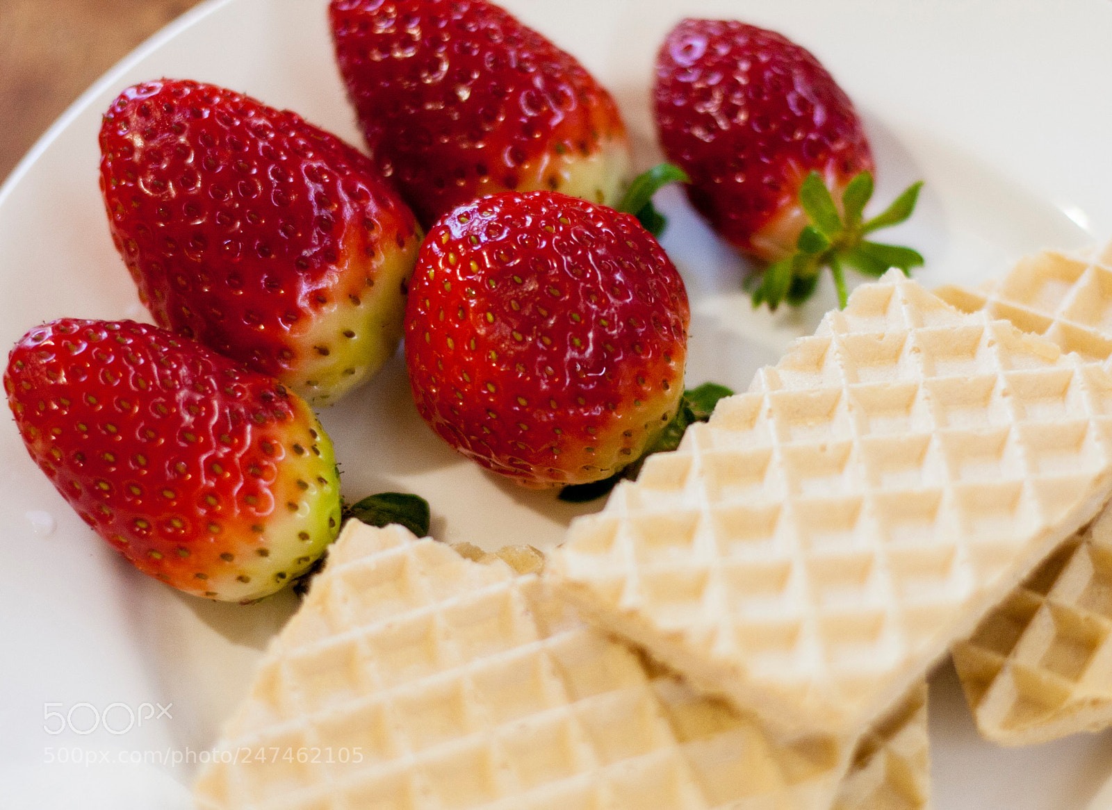 Canon EOS 40D sample photo. Img photography