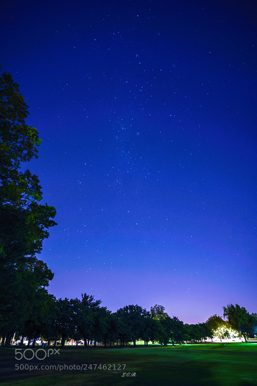 Sony a7R II sample photo. City park photography