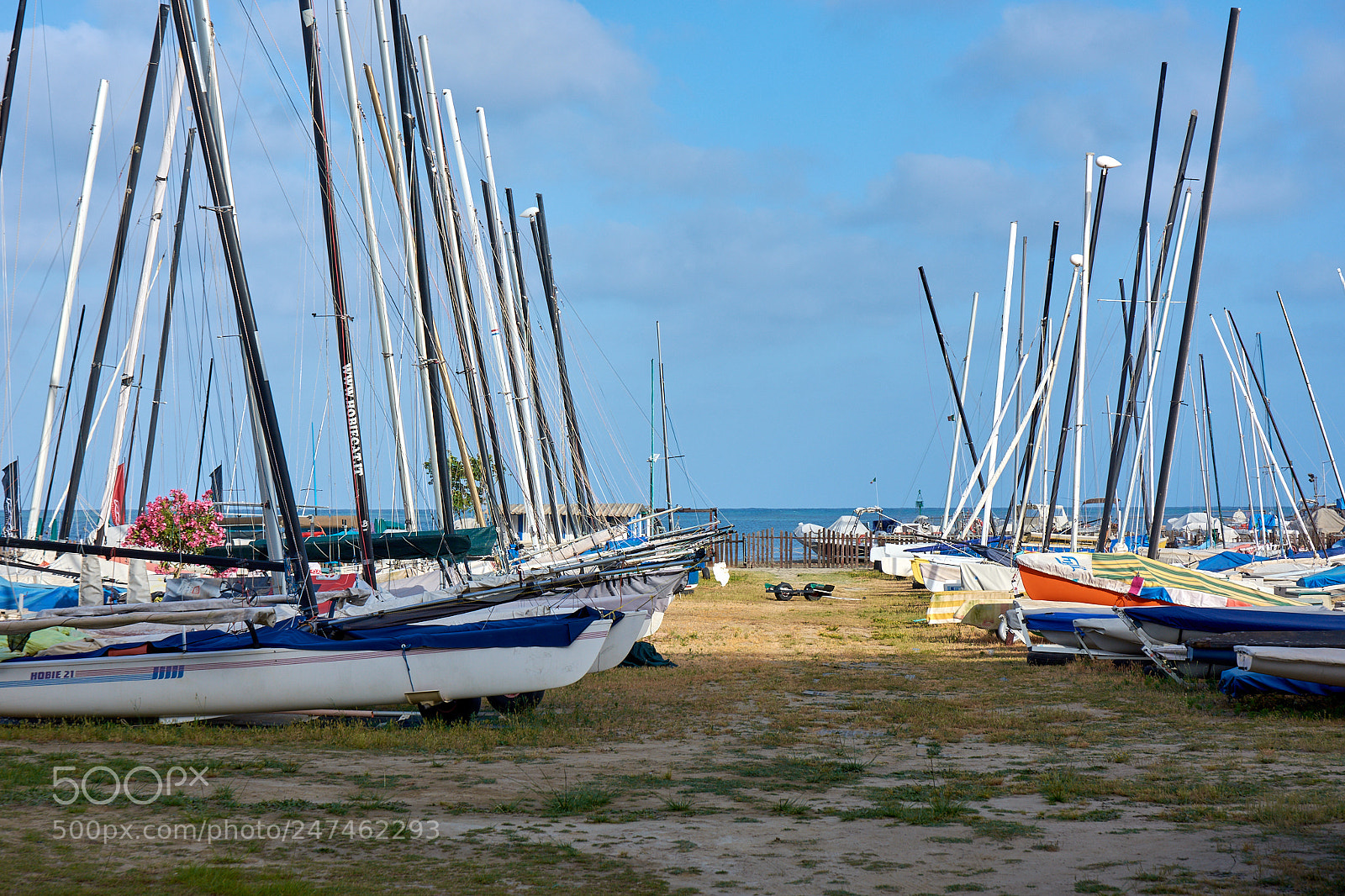 Nikon D7200 sample photo. Rest photography