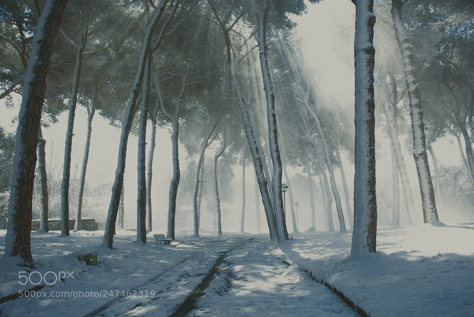 Nikon D80 sample photo. La neve photography