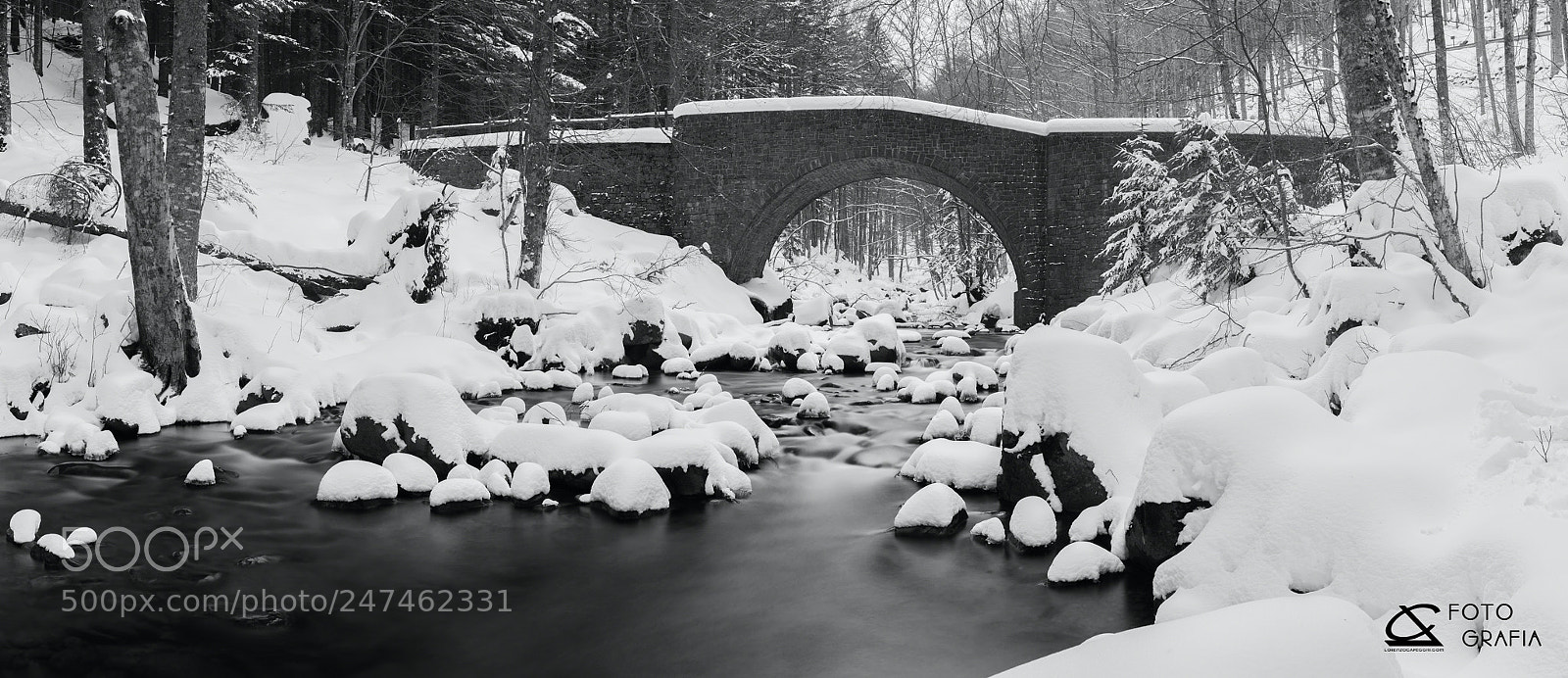 Nikon D810 sample photo. The bridge photography