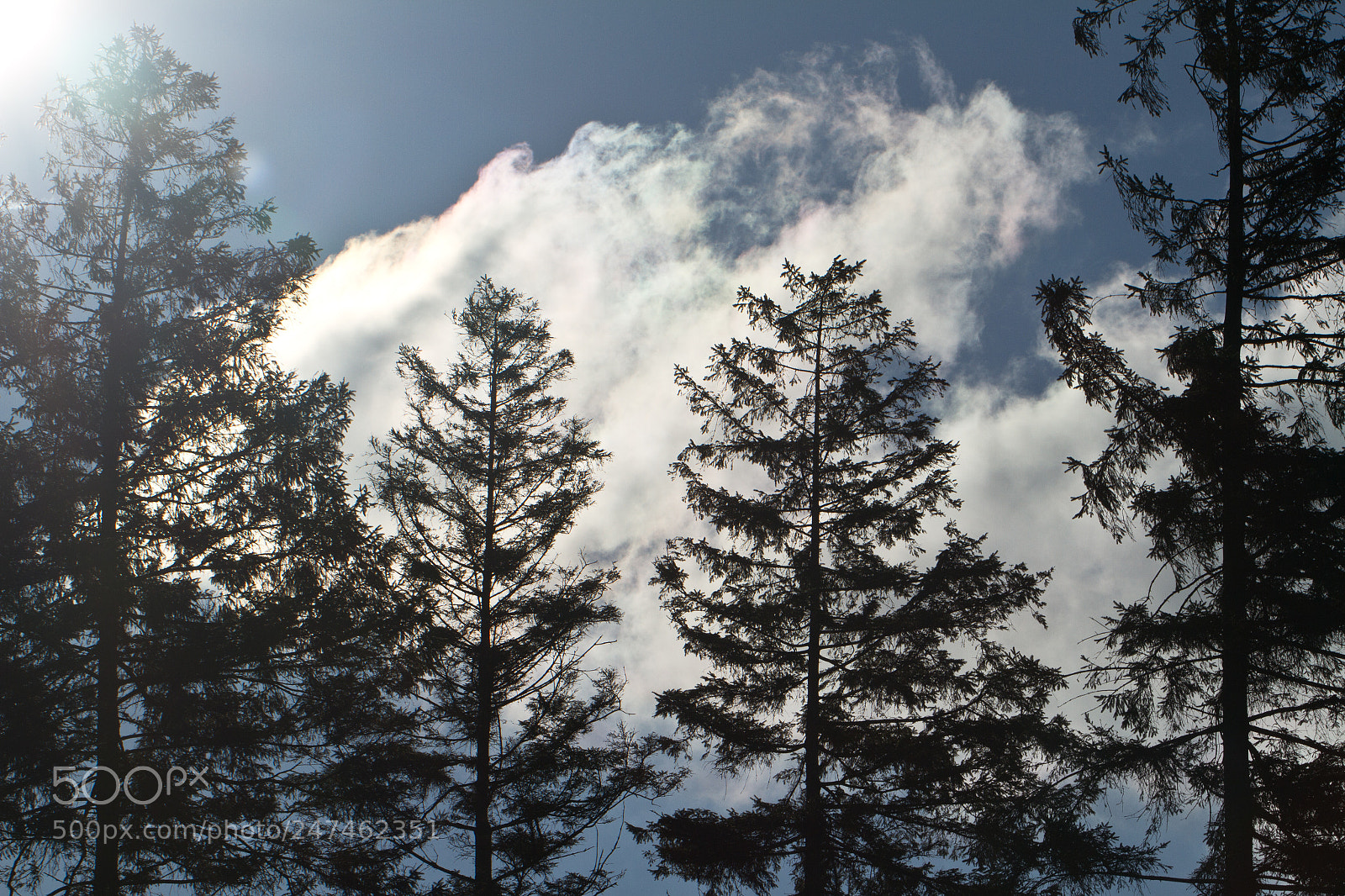 Canon EOS 7D sample photo. Dutch mountains photography