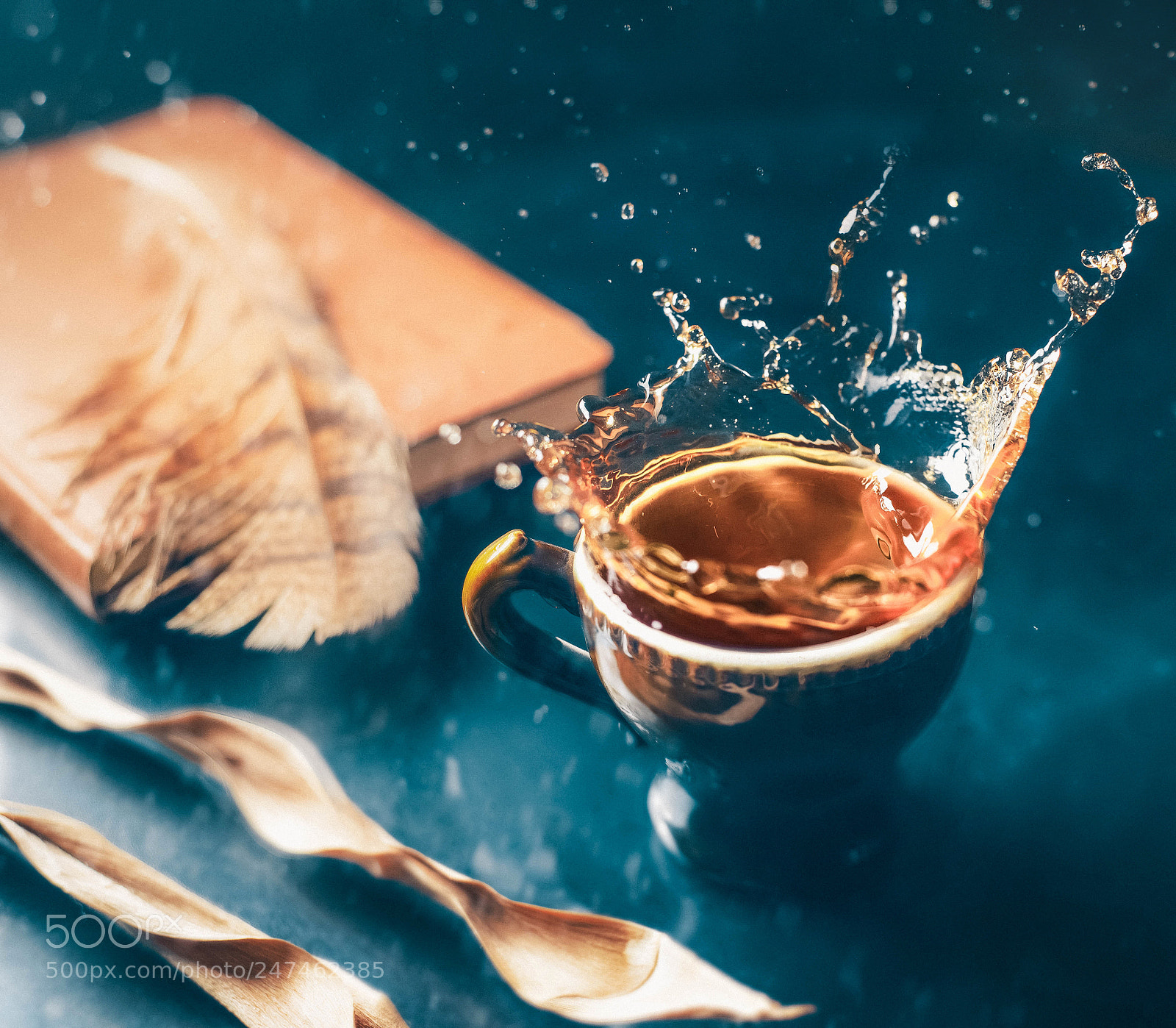 Nikon D610 sample photo. Px photography