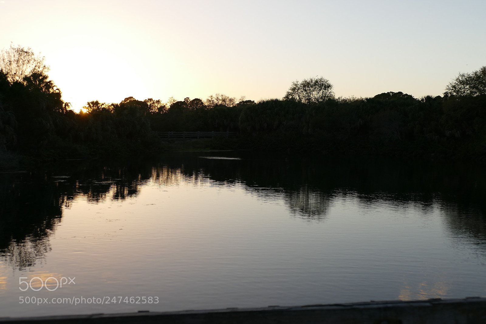 Panasonic Lumix DMC-FZ1000 sample photo. Florida springs photography