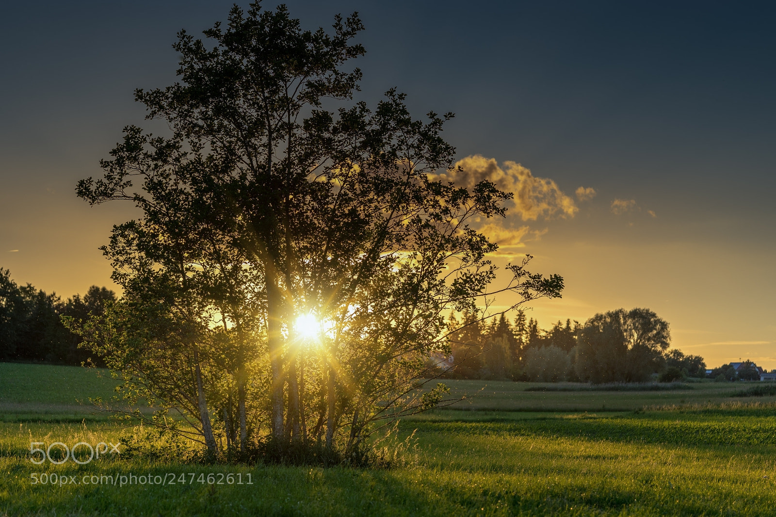 Sony a7 II sample photo. Vilsheim nachtspaziergang photography