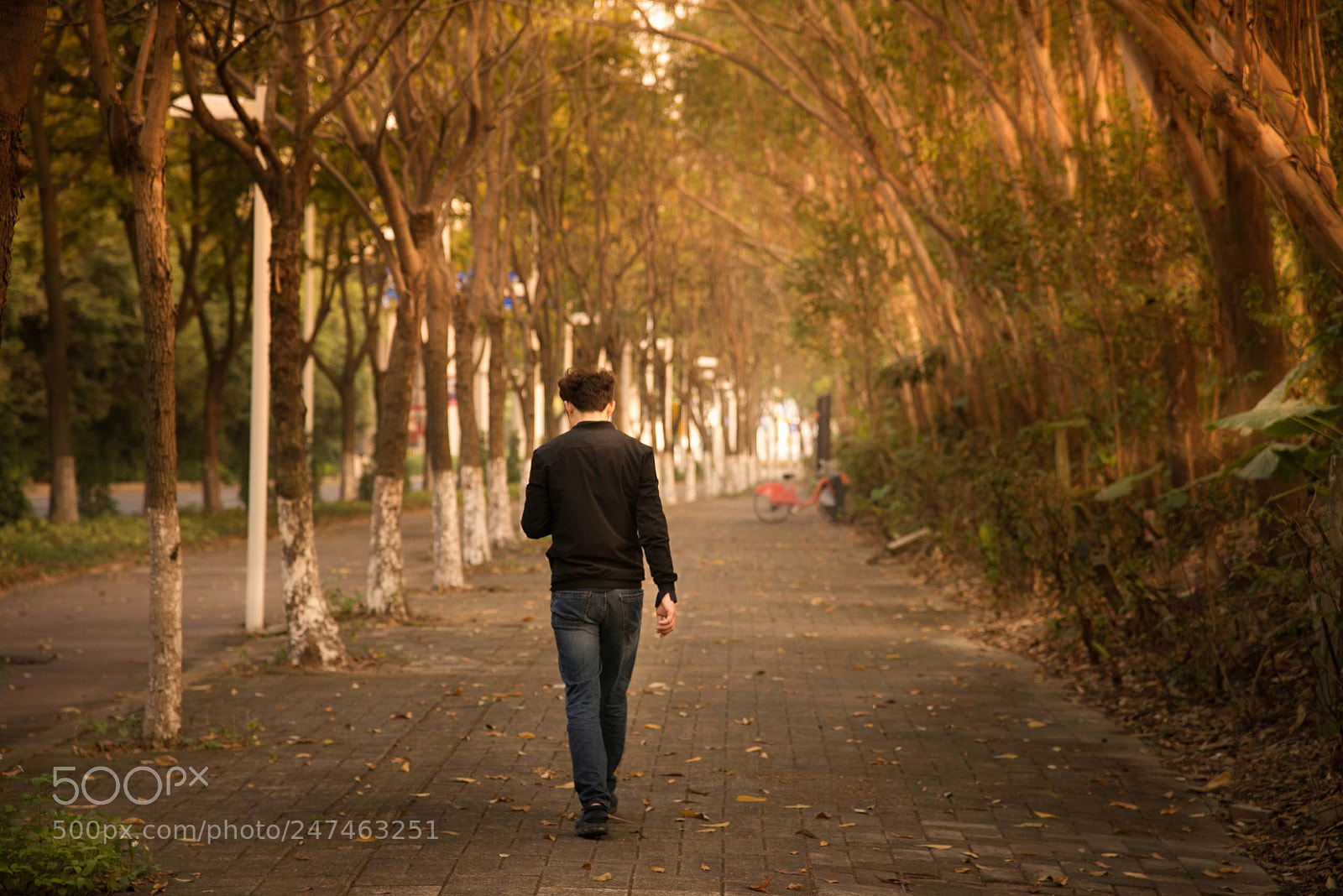 Nikon D610 sample photo. Strolling photography