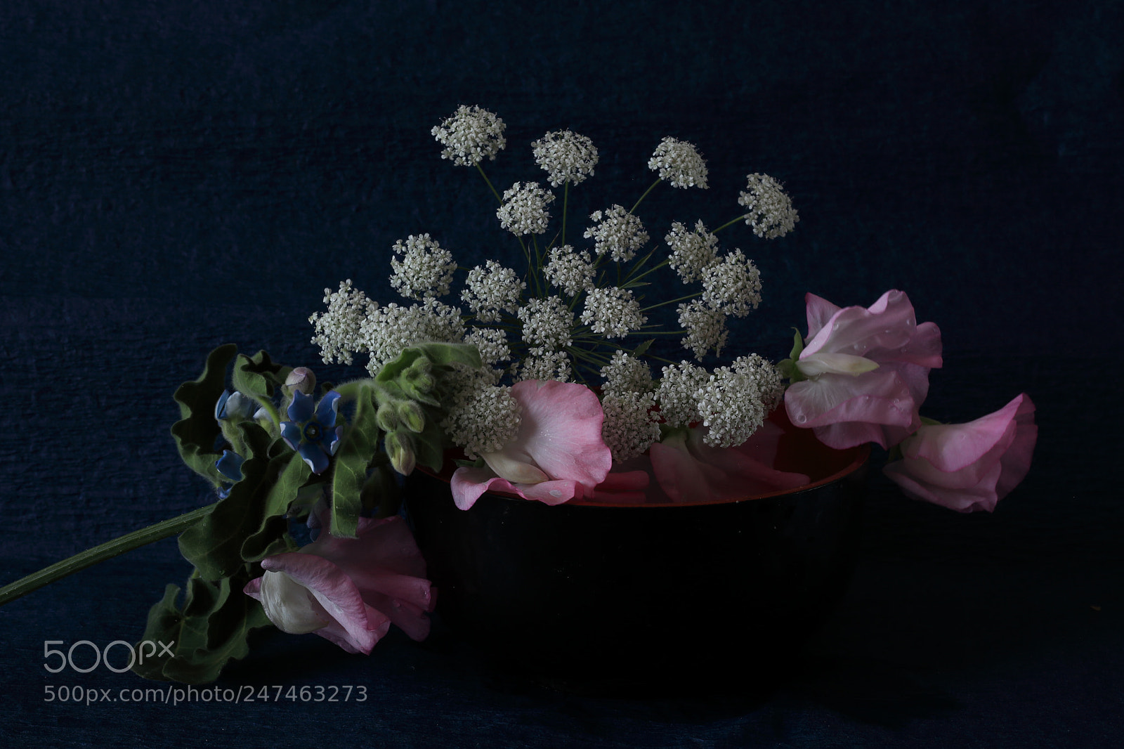 Canon EF 50mm F1.8 STM sample photo. Flowers adorned the japanese photography