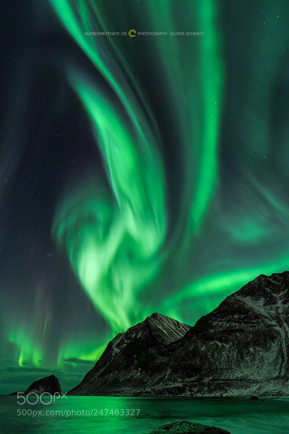 Nikon D810 sample photo. Haukland crow photography