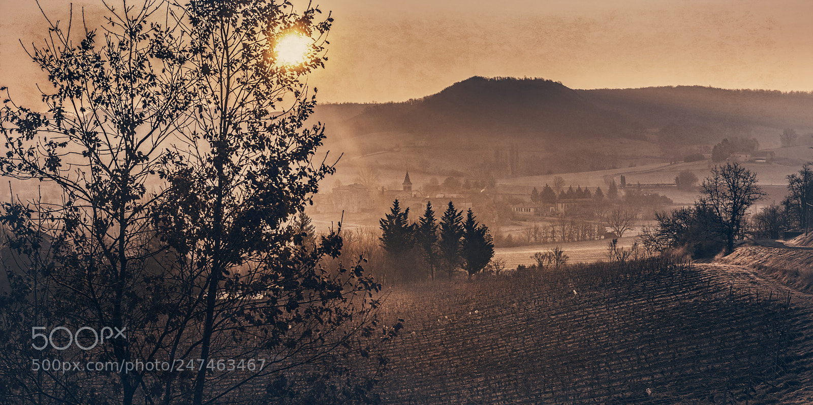Nikon D810 sample photo. Frosty start photography